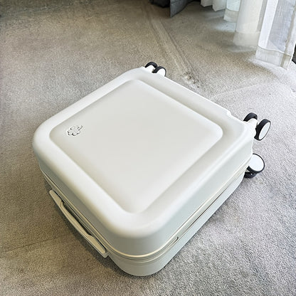 HOMEFISH 18-Inch Lightweight Carry-On Luggage with Spinner Wheels & TSA Lock